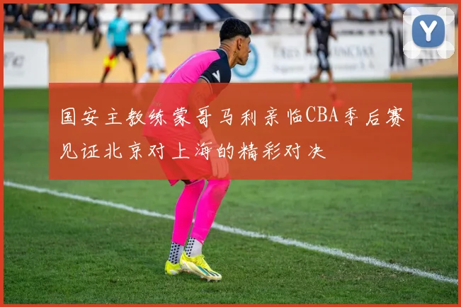 国安主教练蒙哥马利亲临CBA季后赛见证北京对上海的精彩对决